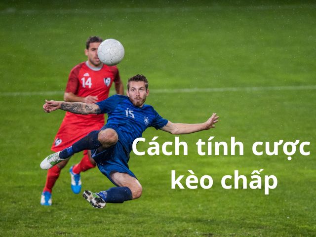 Cách tính tiền cược kèo chấp