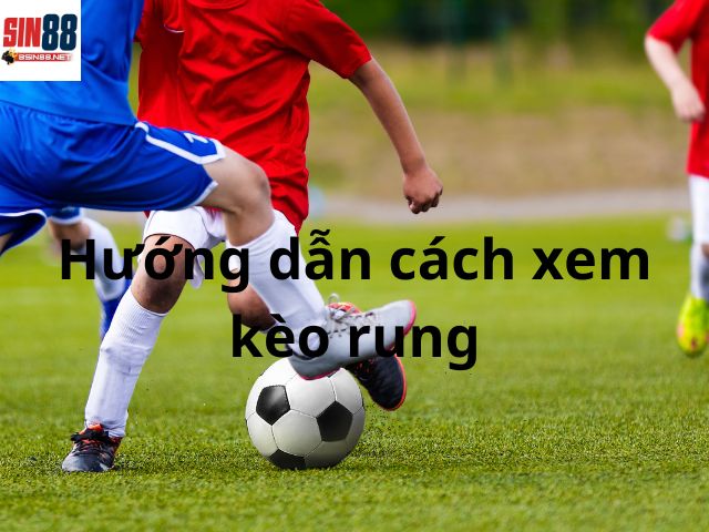 Hướng dẫn cách xem kèo rung