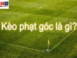 Kèo phạt góc là gì? Cách soi kèo phạt góc trong bóng đá