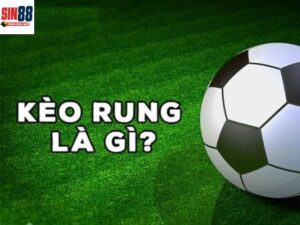 Kèo rung là gì? Bí quyết bắt kèo rung chuẩn xác